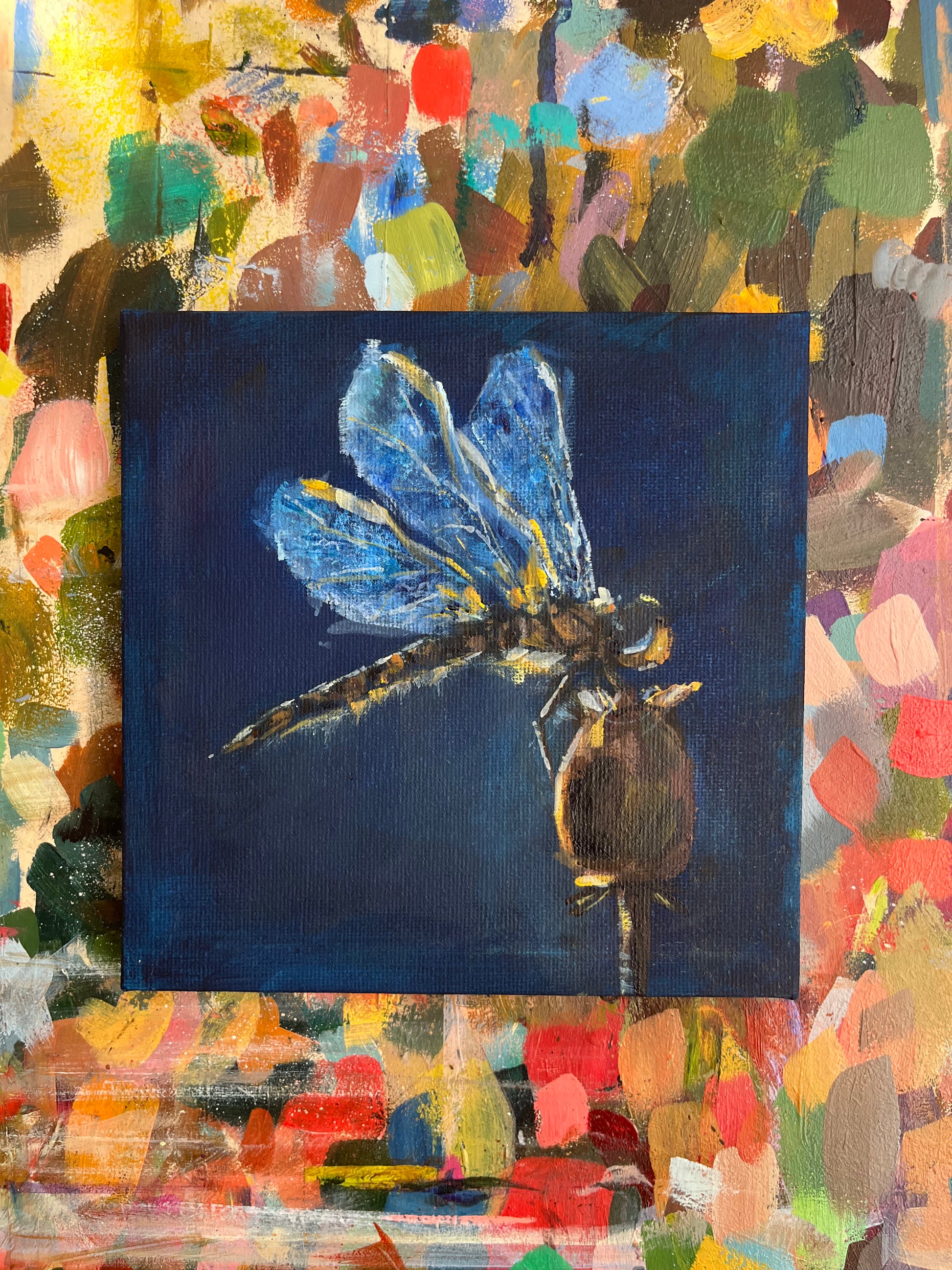 Painting of a dragonfly on a dark blue background